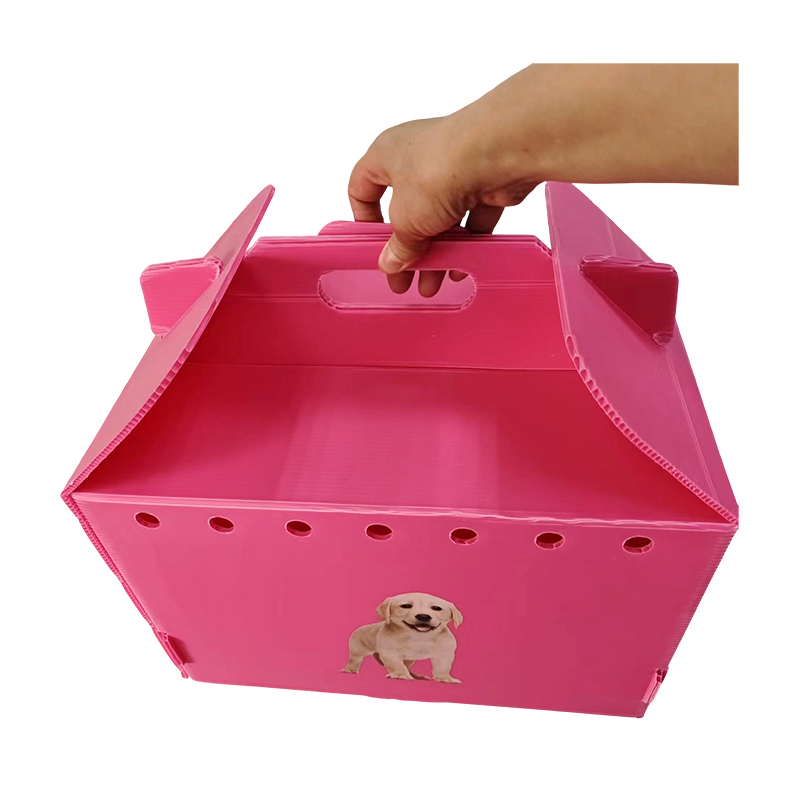 Iompróir Peataí Plaisteacha roctha Poll Aeir Collapsible