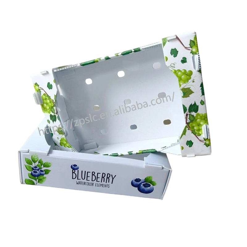 Bosca Láimhdeachais Plaisteacha roctha PP Foldable le Poill Aerála