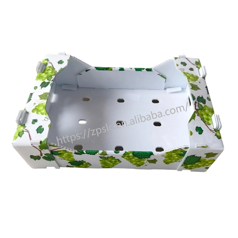 Bosca Láimhdeachais Plaisteacha roctha PP Foldable le Poill Aerála
