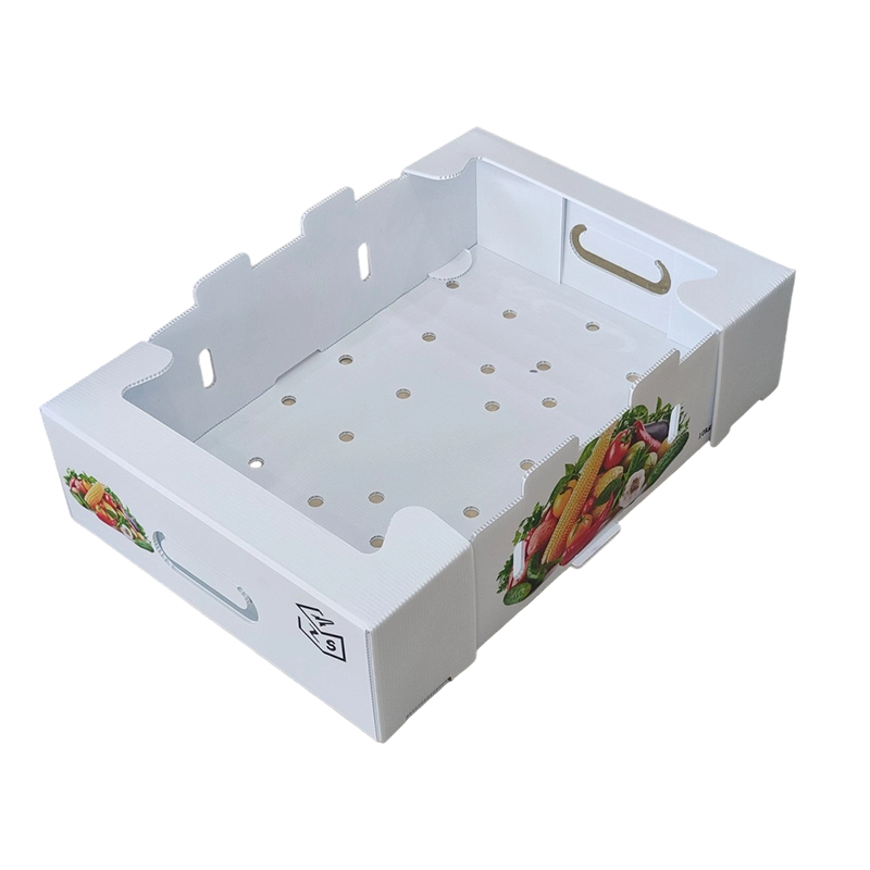 Bosca Láimhdeachais Plaisteacha roctha PP Foldable le Poill Aerála