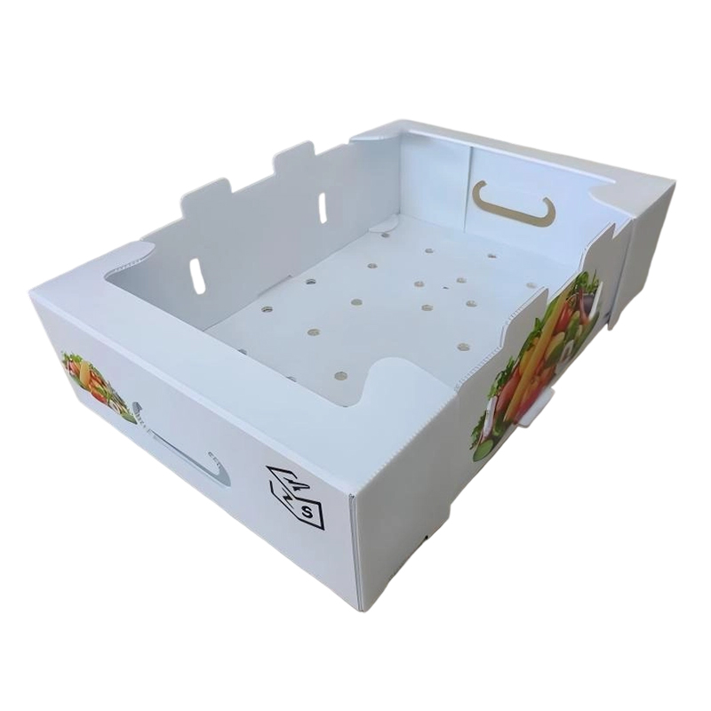 Bosca Láimhdeachais Plaisteacha roctha PP Foldable le Poill Aerála