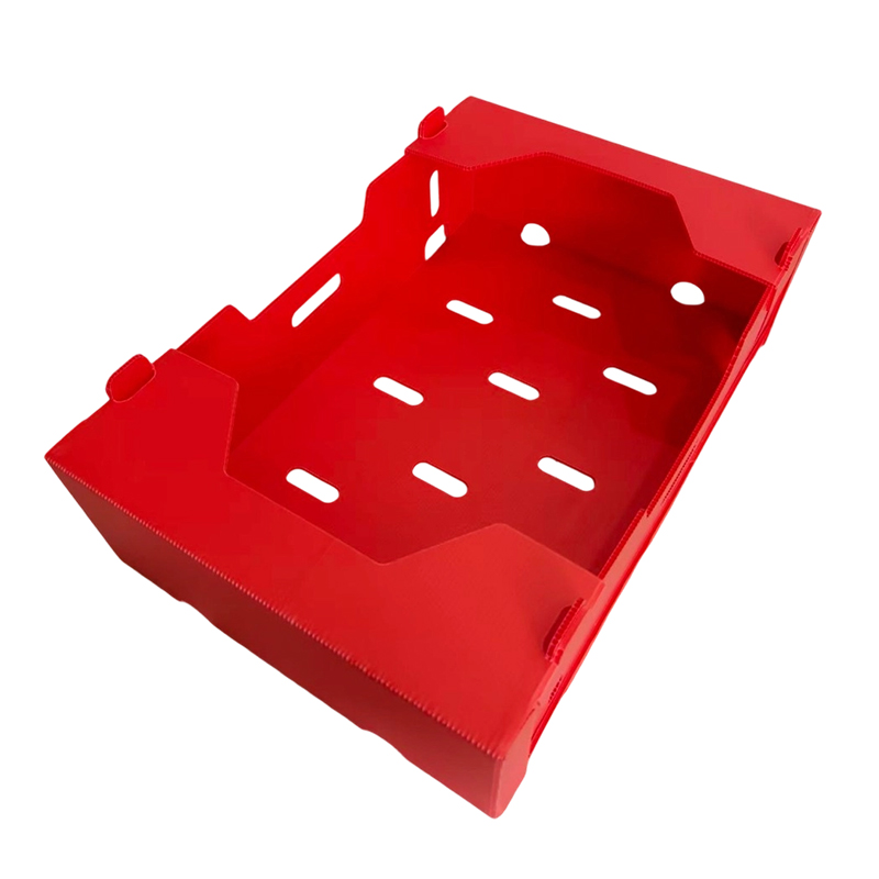 Bosca roctha PP Clóbhuailte Foldable le haghaidh Glasraí & Torthaí