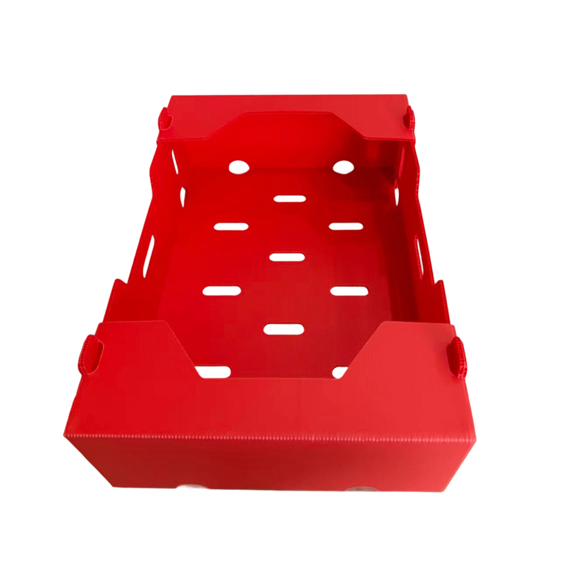 Bosca roctha PP Clóbhuailte Foldable le haghaidh Glasraí & Torthaí