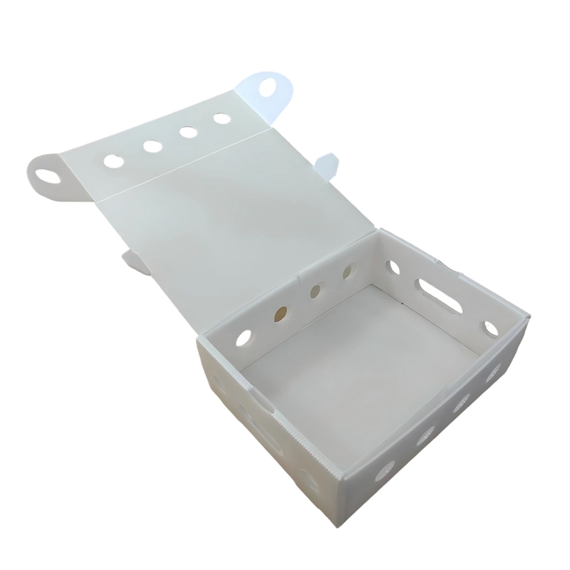 Bosca Pacáistithe Bileog PP Hollow Aeraithe Stackable