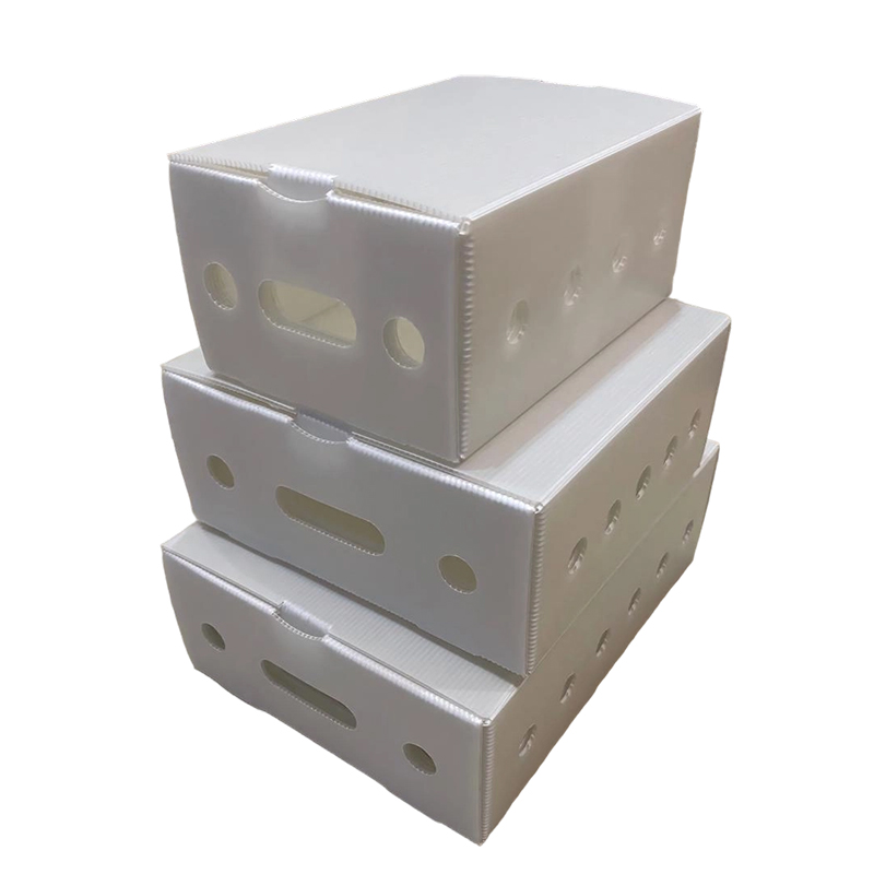Bosca Pacáistithe Bileog PP Hollow Aeraithe Stackable